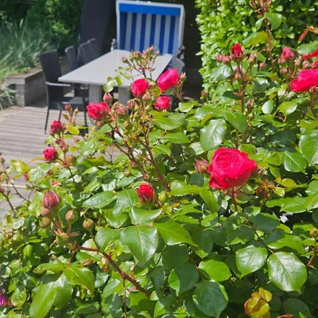 Hotel Strandhotel Sylt Wenningstedt-Braderup