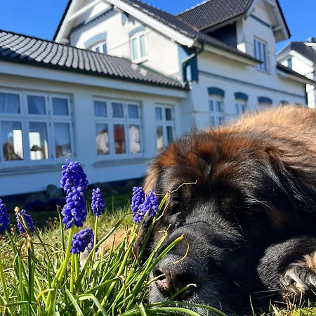 Strandhotel Sylt Wenningstedt-Braderup